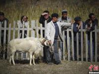 第戎客场战平兰斯，难分胜负的简单介绍