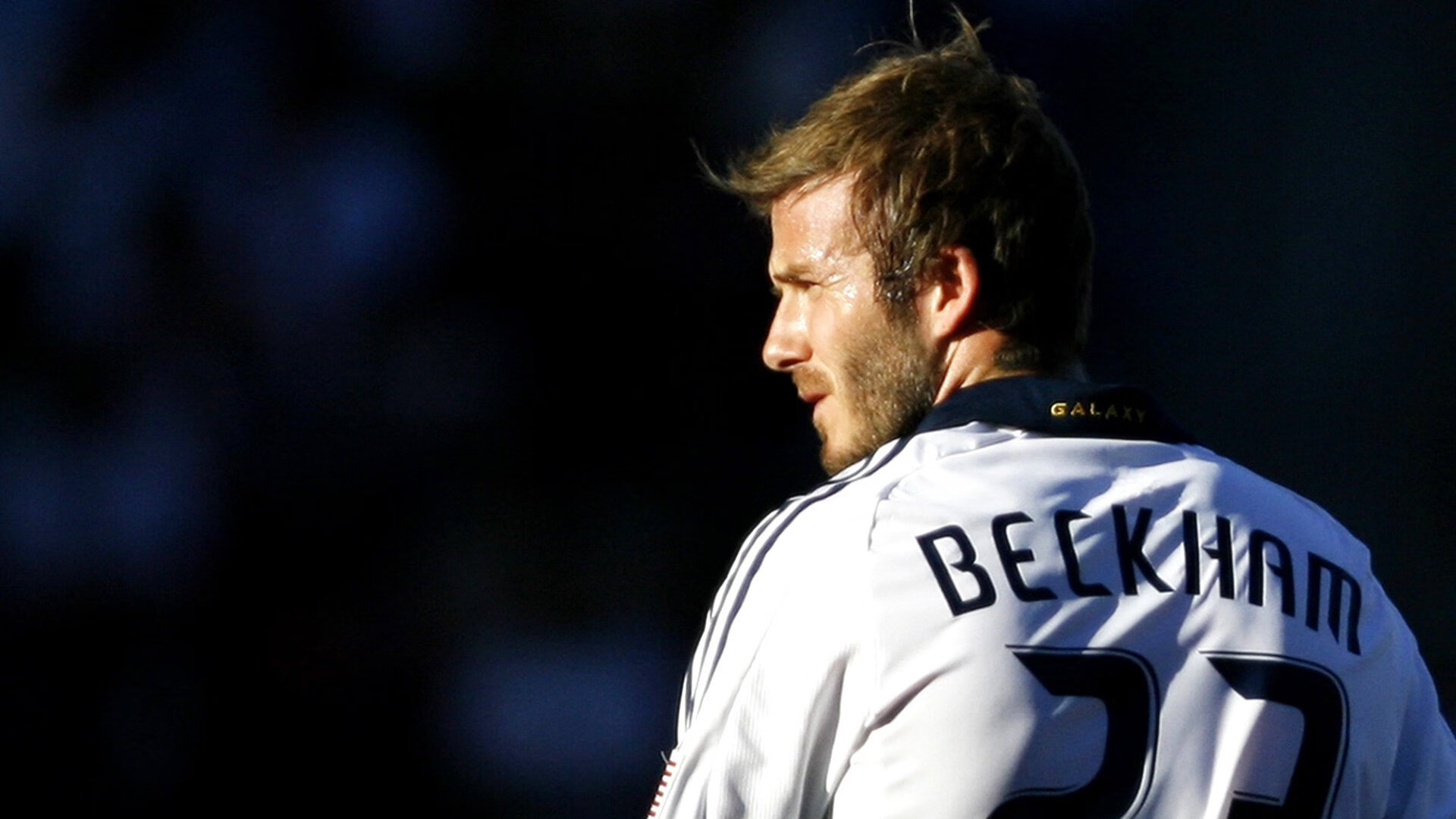 莎拉波娃新星逆转表现惊艳,公牛未来可期!